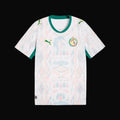 FIFA SENEGAL WORLD CUP 26