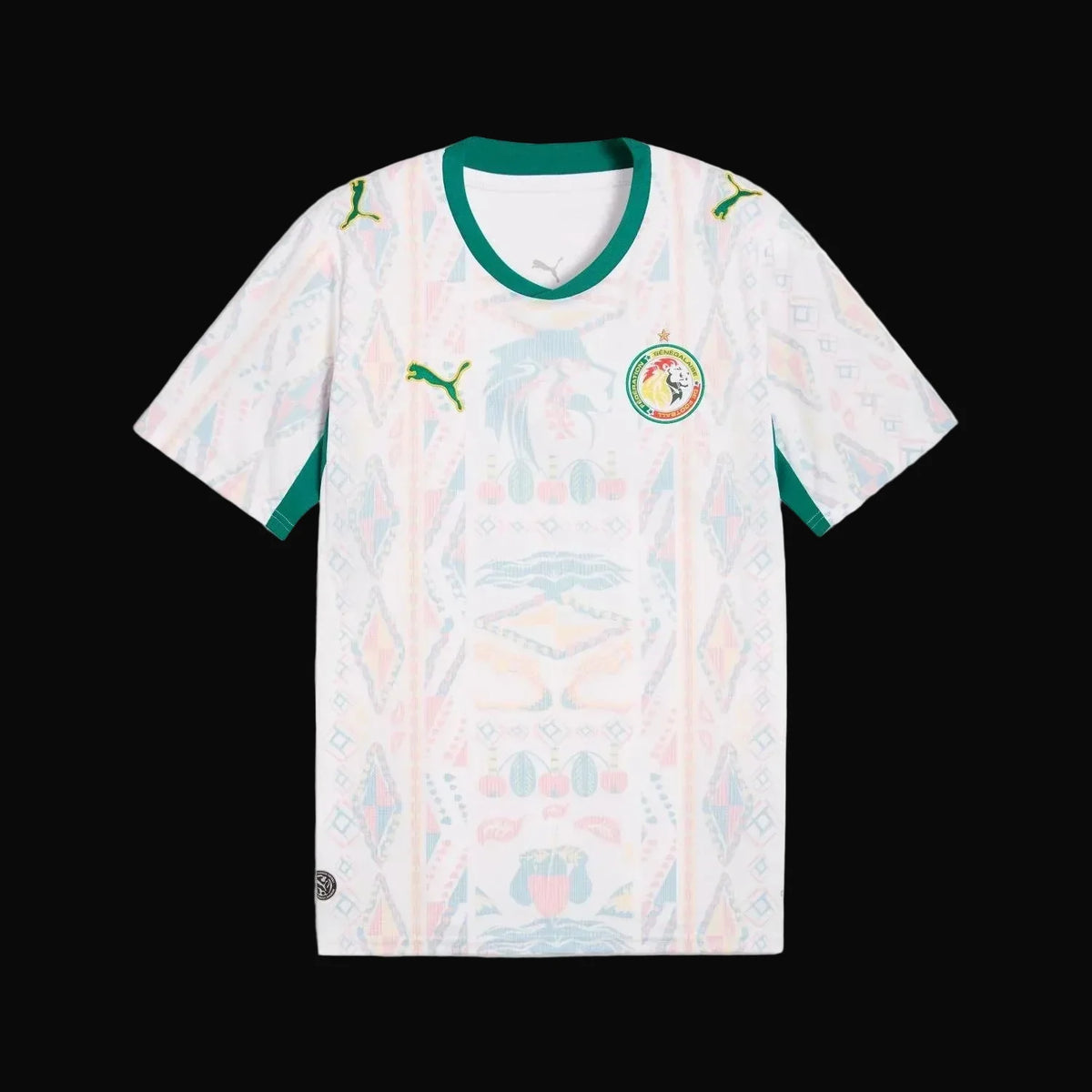 FIFA SENEGAL WORLD CUP 26